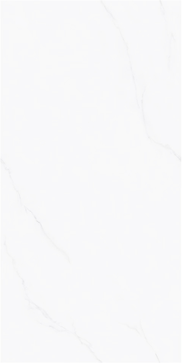 JVA26P0173 -2