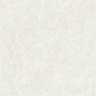 JDS08AP0310