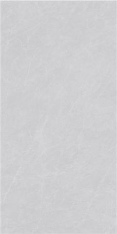 JVA26P0175 银叶灰